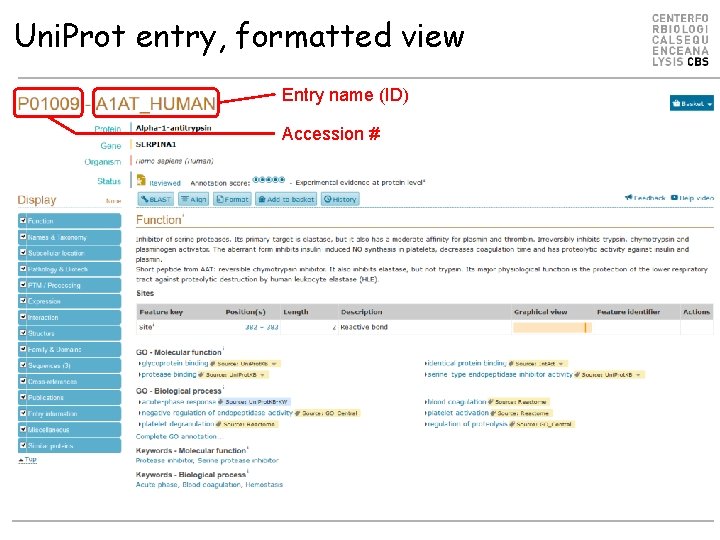 Uni. Prot entry, formatted view Entry name (ID) Accession # 