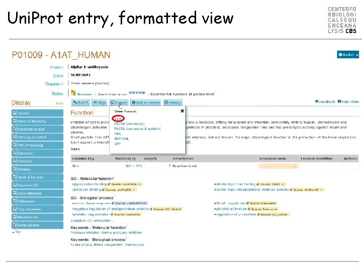 Uni. Prot entry, formatted view 