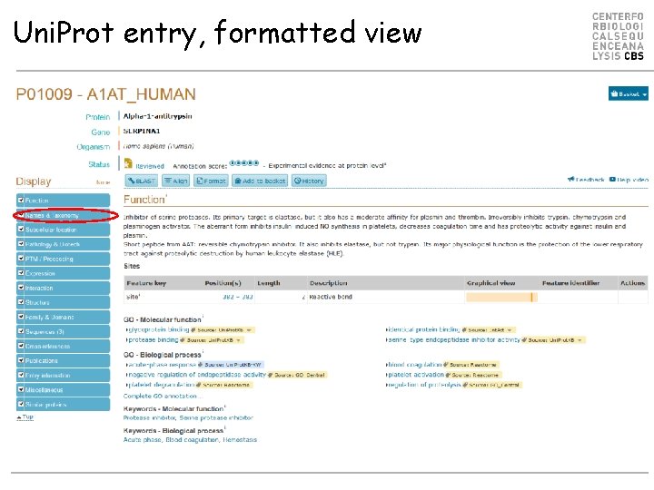 Uni. Prot entry, formatted view 