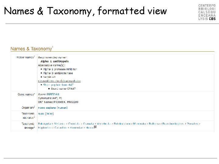 Names & Taxonomy, formatted view 