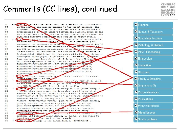 Comments (CC lines), continued 