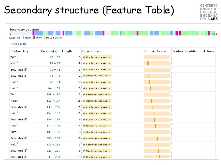 Secondary structure (Feature Table) 