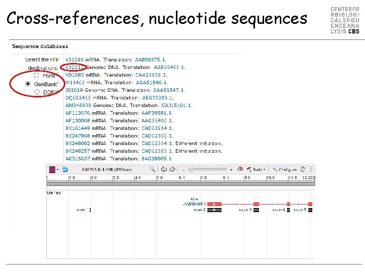 Cross-references, nucleotide sequences 