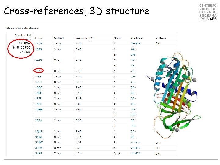 Cross-references, 3 D structure 