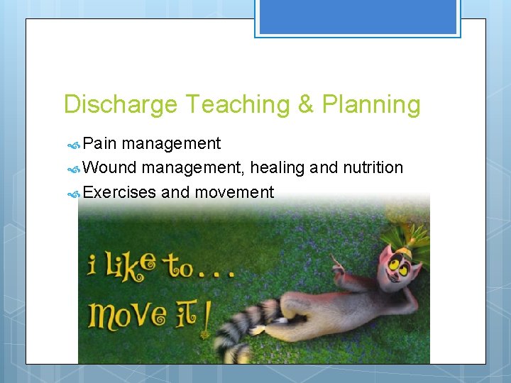 Discharge Teaching & Planning Pain management Wound management, healing and nutrition Exercises and movement