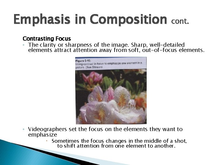 Emphasis in Composition cont. Contrasting Focus ◦ The clarity or sharpness of the image.