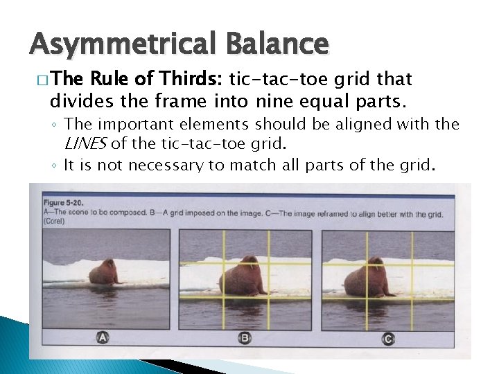 Asymmetrical Balance � The Rule of Thirds: tic-tac-toe grid that divides the frame into