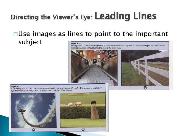 Directing the Viewer’s Eye: Leading � Use Lines images as lines to point to