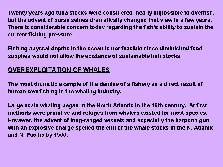 Twenty years ago tuna stocks were considered nearly impossible to overfish, but the advent