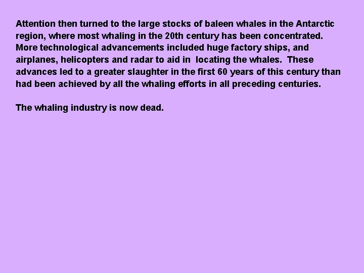 Attention then turned to the large stocks of baleen whales in the Antarctic region,