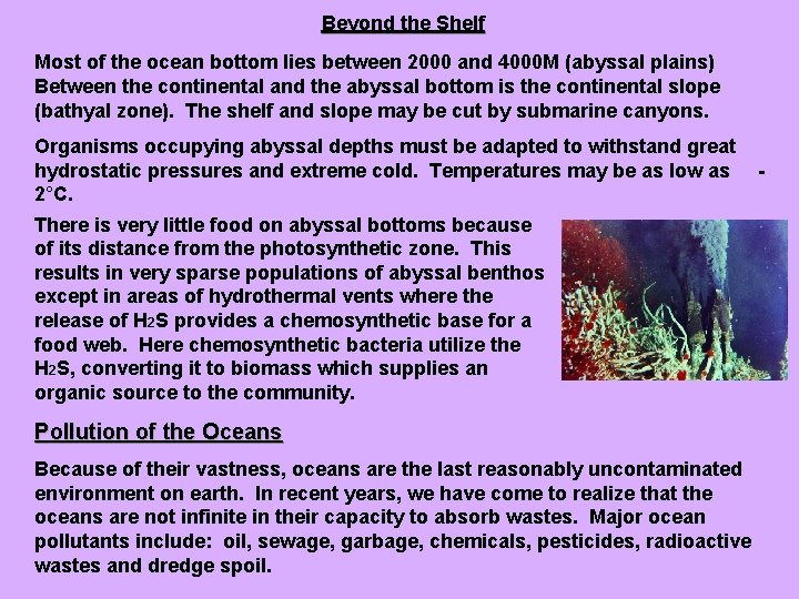 Beyond the Shelf Most of the ocean bottom lies between 2000 and 4000 M