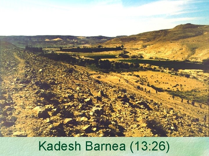 Kadesh Barnea (13: 26) 