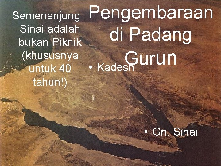 Pengembaraan di Padang Gurun Semenanjung Sinai adalah bukan Piknik (khususnya • Kadesh untuk 40