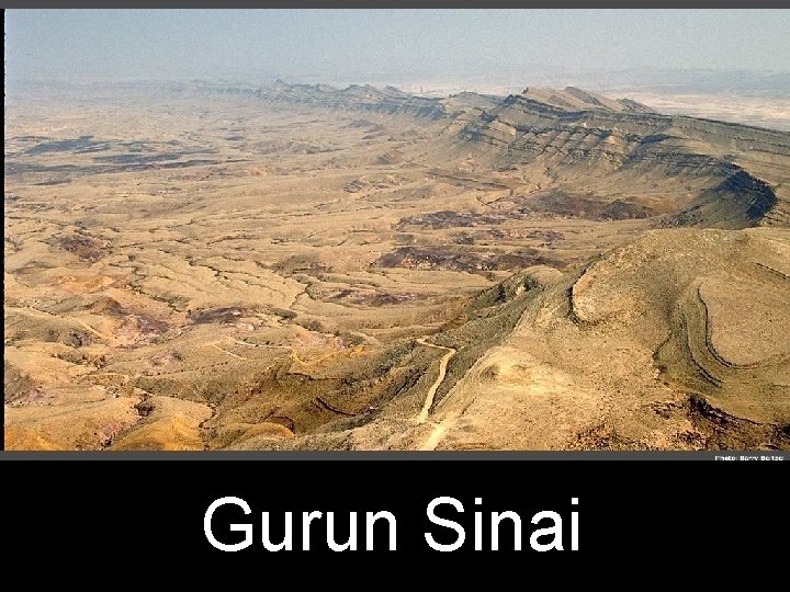 Gurun Sinai 