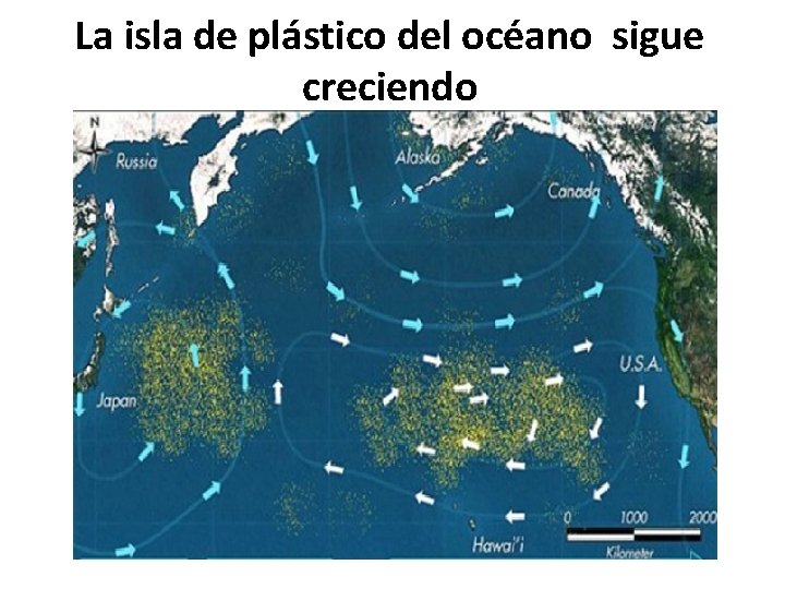 La isla de plástico del océano sigue creciendo 