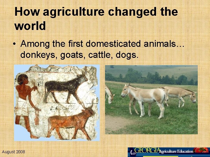How agriculture changed the world • Among the first domesticated animals… donkeys, goats, cattle,