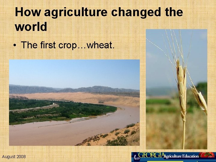 How agriculture changed the world • The first crop…wheat. August 2008 