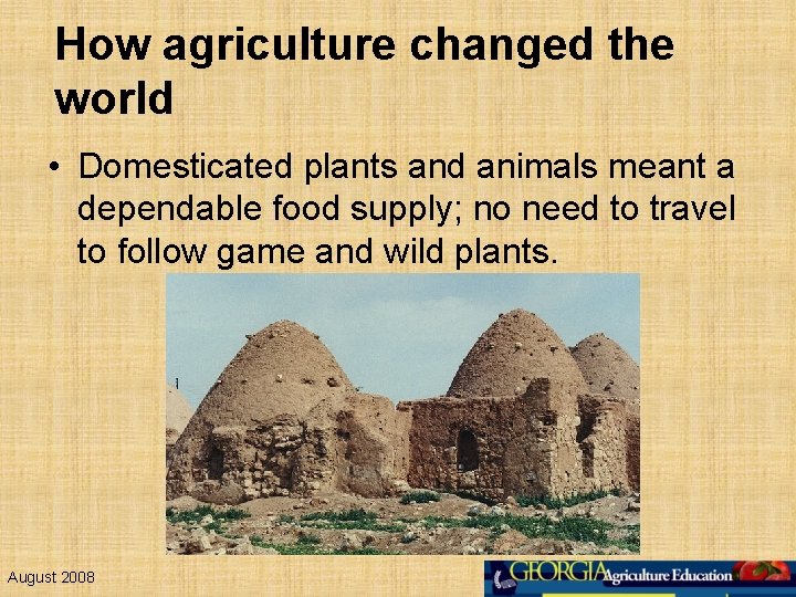 How agriculture changed the world • Domesticated plants and animals meant a dependable food