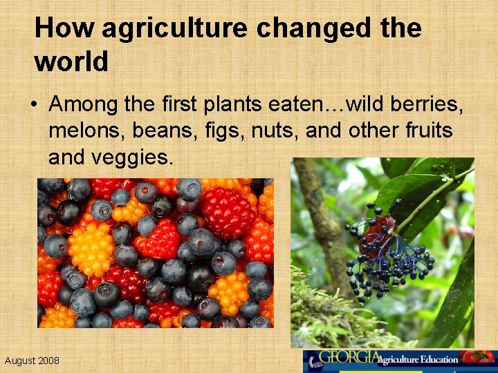 How agriculture changed the world • Among the first plants eaten…wild berries, melons, beans,