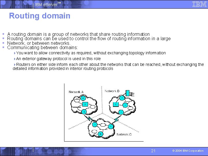 IBM e. Server™ Routing domain § § A routing domain is a group of