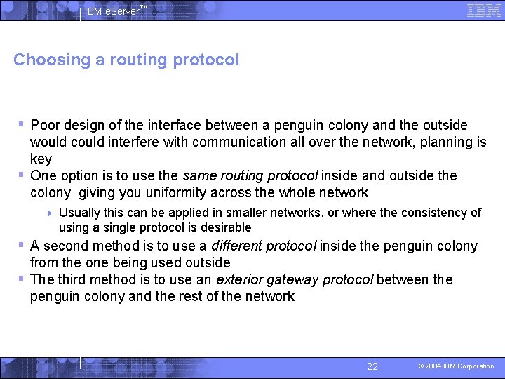 IBM e. Server™ Choosing a routing protocol § Poor design of the interface between
