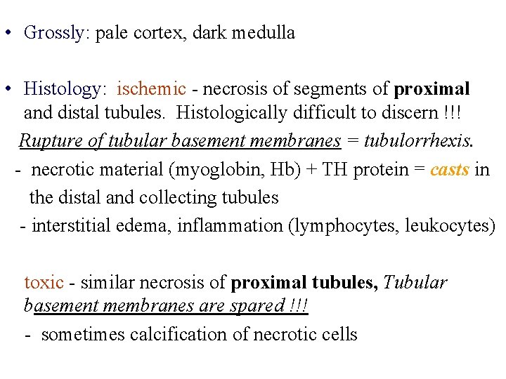  • Grossly: pale cortex, dark medulla • Histology: ischemic - necrosis of segments