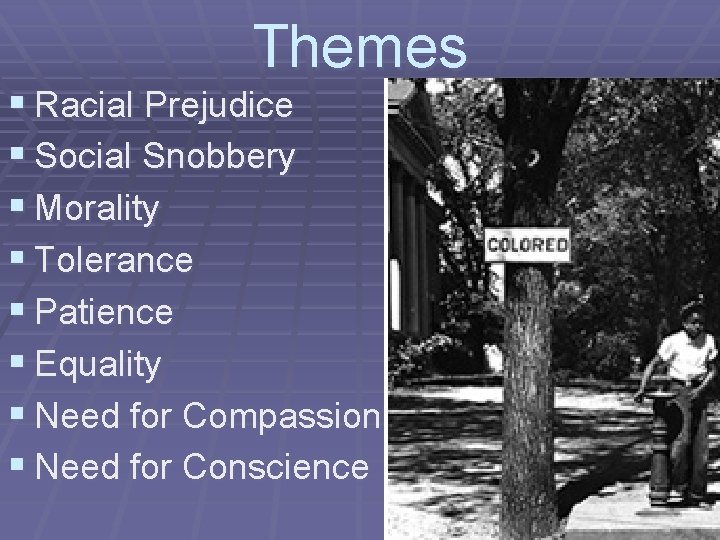 Themes § Racial Prejudice § Social Snobbery § Morality § Tolerance § Patience §