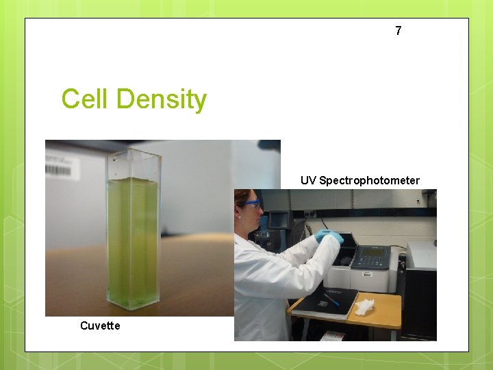 7 Cell Density UV Spectrophotometer Cuvette 