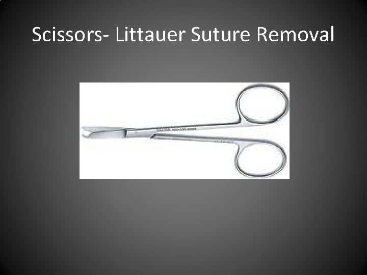 Scissors- Littauer Suture Removal 