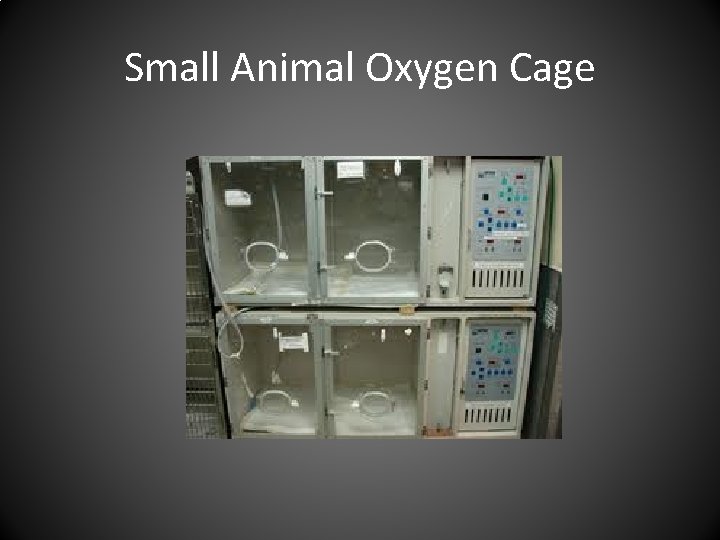 Small Animal Oxygen Cage 