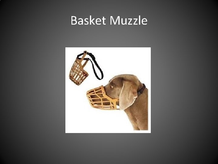 Basket Muzzle 