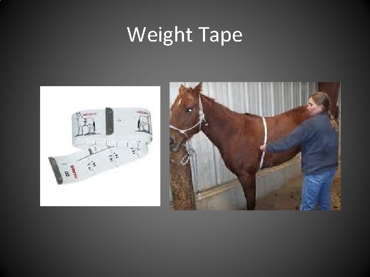 Weight Tape 