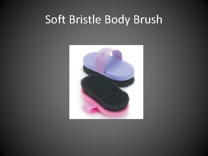 Soft Bristle Body Brush 