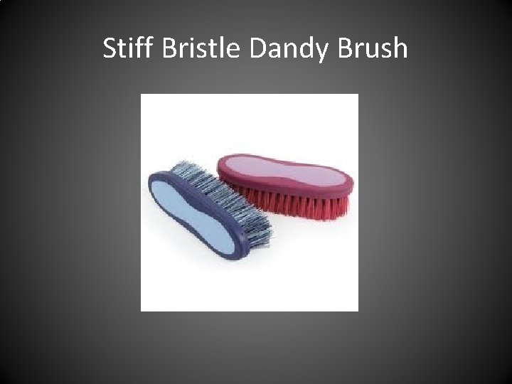 Stiff Bristle Dandy Brush 