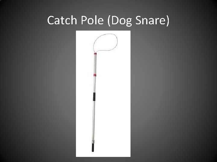 Catch Pole (Dog Snare) 