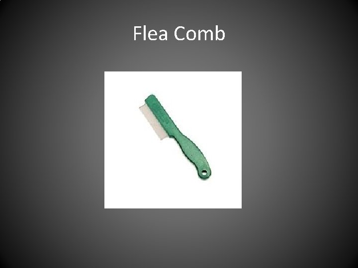 Flea Comb 