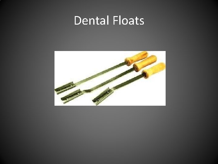 Dental Floats 