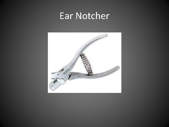 Ear Notcher 