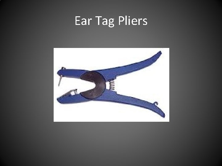Ear Tag Pliers 