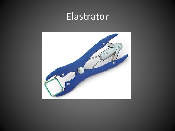 Elastrator 