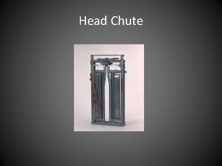 Head Chute 