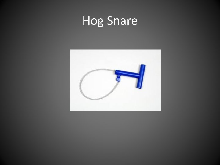 Hog Snare 