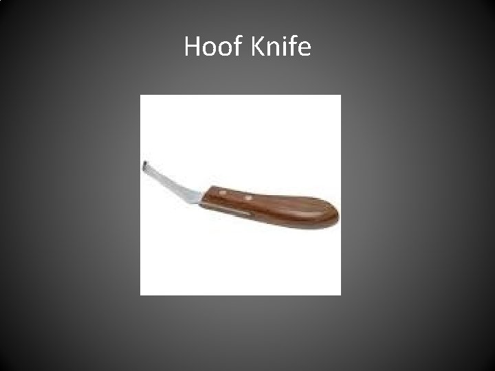 Hoof Knife 