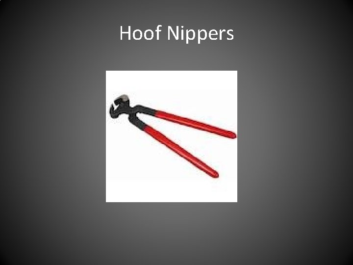 Hoof Nippers 