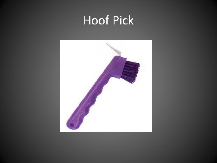 Hoof Pick 