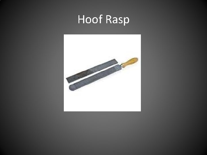 Hoof Rasp 