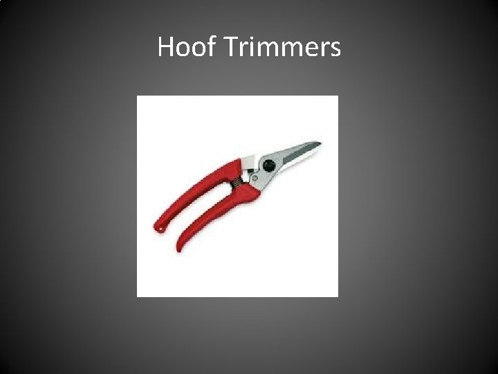 Hoof Trimmers 