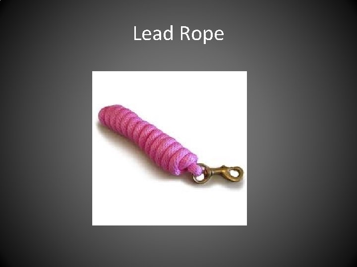 Lead Rope 