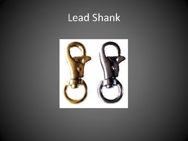 Lead Shank 
