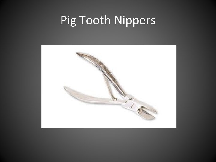 Pig Tooth Nippers 